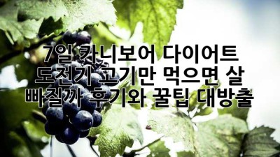 7일 카니보어 다이어트 도전기: 고기만 먹으면 살 빠질까? 후기와 꿀팁 대방출!