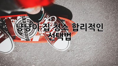 🐶 냥냥이 집 청소, 합리적인 선택법 ✨