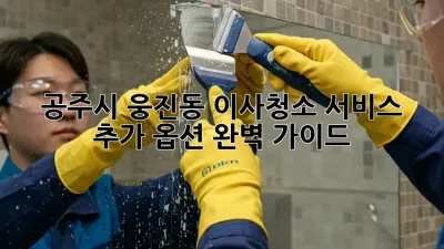공주시 웅진동 이사/청소 서비스 추가 옵션 완벽 가이드