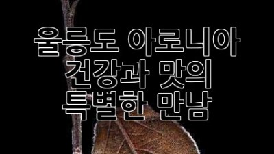 울릉도 아로니아: 건강과 맛의 특별한 만남