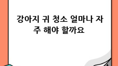 🐶 댕댕이 건강 지킴이! 강아지예방접종, 놓치면 후회해요! 💉